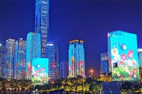 2024深圳市民中心灯光秀预约哪个区域好