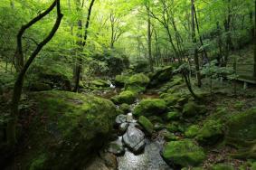 西安避暑去哪里