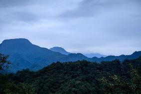 青城后山旅游线路推荐